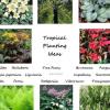 Planting suggestions for Tropical area