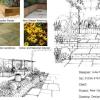 The Design Concept Plan illustrates the new features of the garden - new patio area, steps and border planting