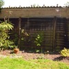 Before: worn out fencing, sparse planting and compacted soil in need of rejuvenation