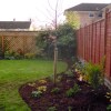 Stage 2 Border - newly planted tree will help add privacy to the garden